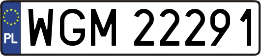 WGM22291