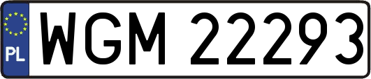 WGM22293