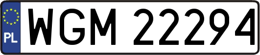 WGM22294