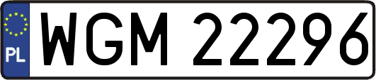 WGM22296