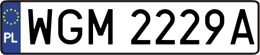WGM2229A