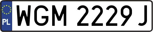WGM2229J