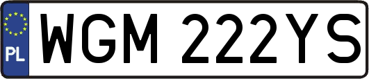 WGM222YS