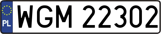 WGM22302