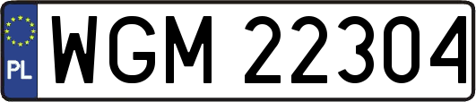 WGM22304