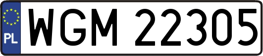 WGM22305