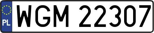 WGM22307
