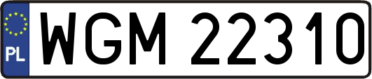 WGM22310