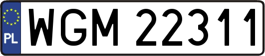 WGM22311