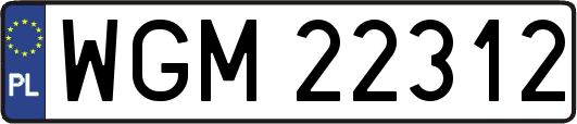 WGM22312