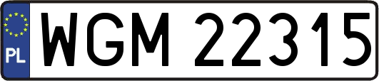 WGM22315