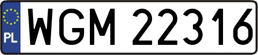 WGM22316