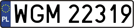 WGM22319