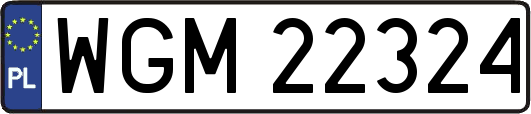 WGM22324