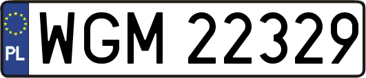 WGM22329