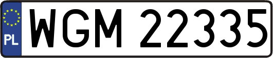 WGM22335