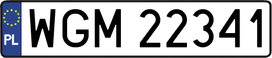 WGM22341