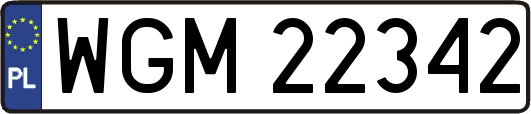 WGM22342