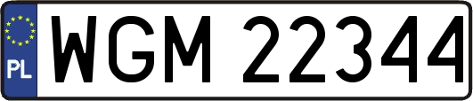 WGM22344