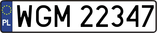 WGM22347
