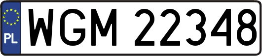 WGM22348