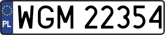 WGM22354