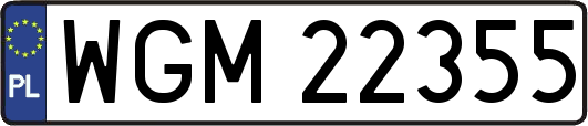 WGM22355