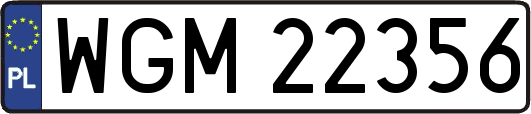 WGM22356