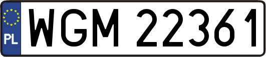 WGM22361