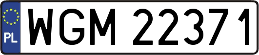 WGM22371