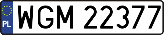 WGM22377