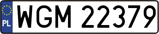 WGM22379