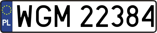 WGM22384