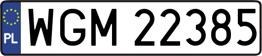 WGM22385