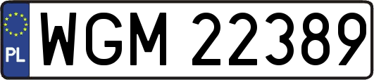 WGM22389