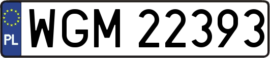 WGM22393