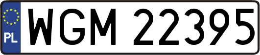 WGM22395