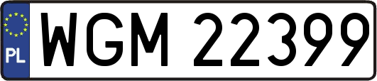 WGM22399