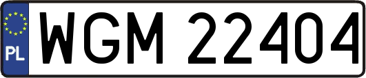 WGM22404