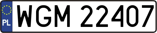 WGM22407
