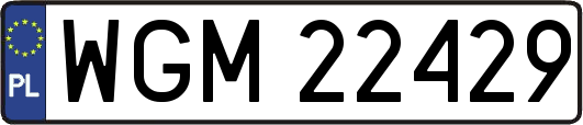WGM22429