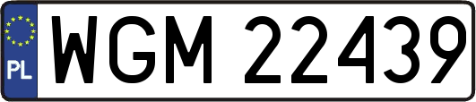 WGM22439