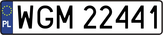 WGM22441