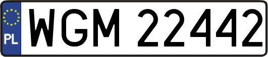 WGM22442