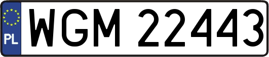 WGM22443