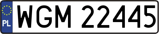 WGM22445