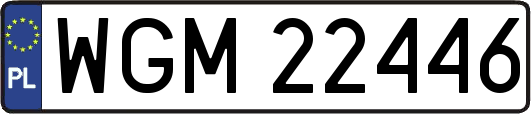 WGM22446