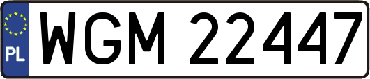 WGM22447