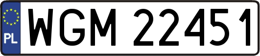 WGM22451
