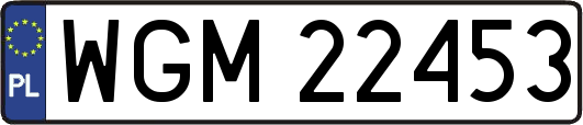 WGM22453